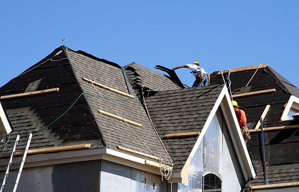 Best Roof Gutter Cleaning  in Homer, MI