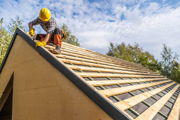 Best Gutter Installation and Roofing  in Homer, MI