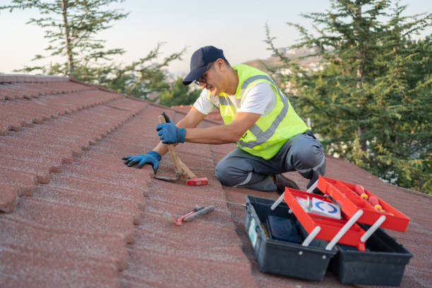 Best Slate Roofing Contractor  in Homer, MI