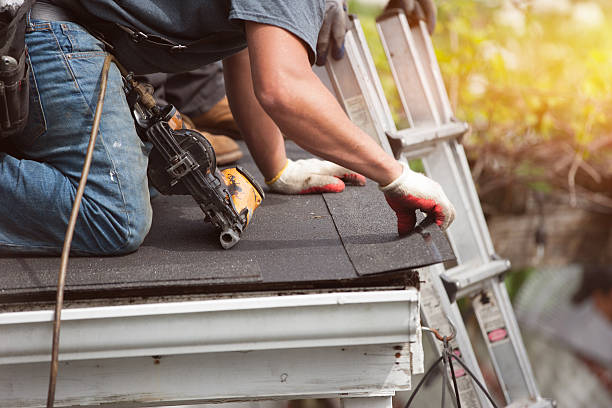 Best Roof Repair Services  in Homer, MI