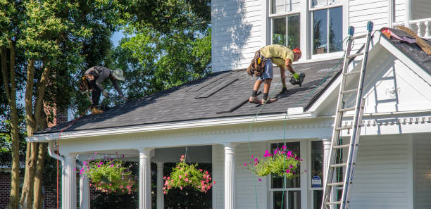 Best Residential Roofing Contractor  in Homer, MI
