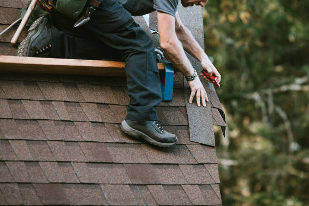 Best Roof Waterproofing Services  in Homer, MI